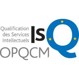 Logo QSI