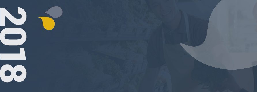 Visuel retrospective 2018 jaune et bleu IFCDis