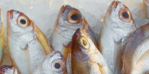 comment faire un beau rayon poissonnerie