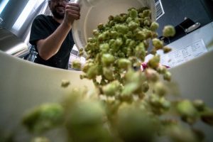 Gaspillage alimentaire de la grande distribution