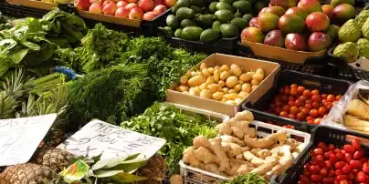 formation Maîtriser l'implantation et la gestion du rayon fruits et légumes