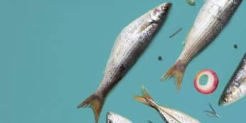 Poissonnier