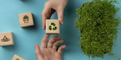 formation Sensibilisation à la transition écologique