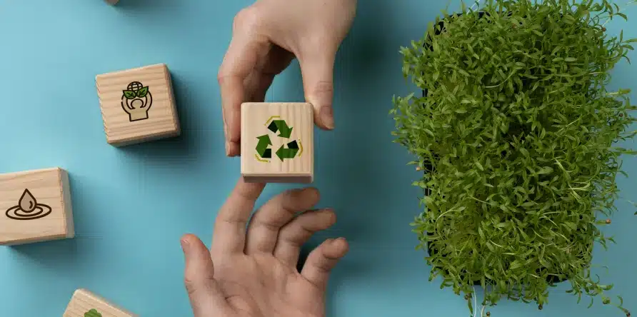 formation Sensibilisation à la transition écologique